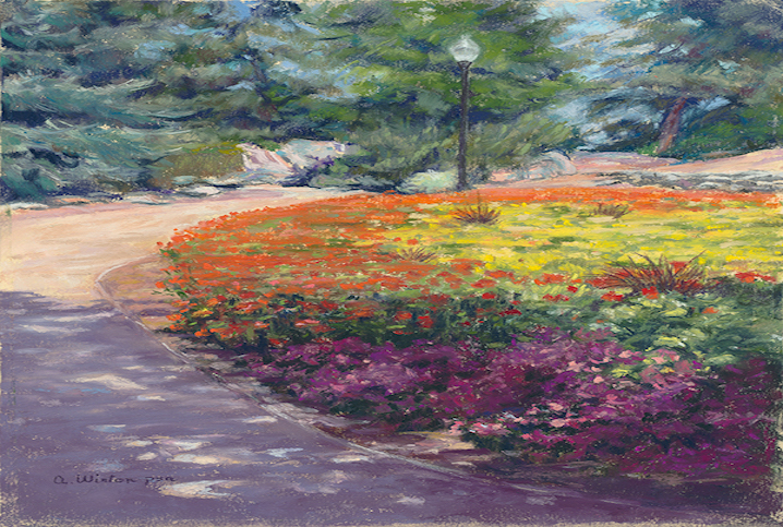 A Flower Garden With Yellow, Purple and Orange Flowers