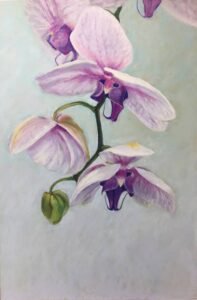 Light Purple Color Orchids on a Branch on Light Background